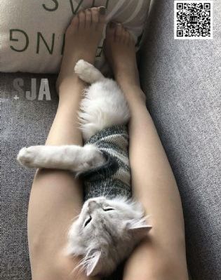 三个老汉把我全身啃了个遍_BD国语电影全集观看